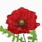 Dark Red Poppy Bush by Ashland&#xAE;